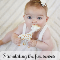 Sophie la girafe stimulating the 5 senses