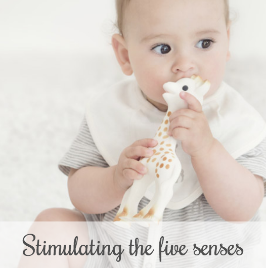 Sophie la girafe stimulating the 5 senses